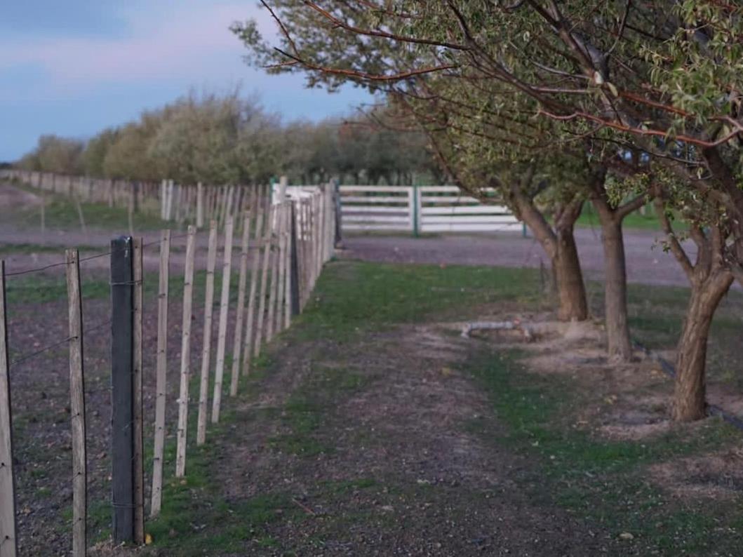 Estancia Tatay Трелев Екстериор снимка