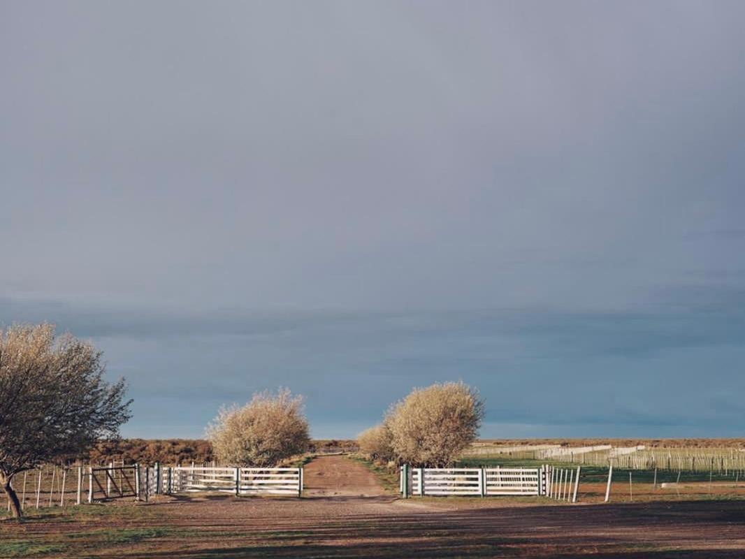 Estancia Tatay Трелев Екстериор снимка